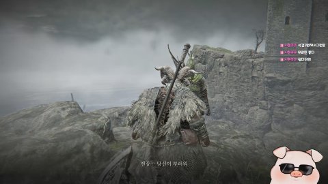 섹시피그