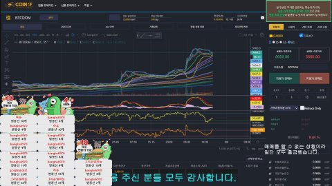 머리쿵쿵