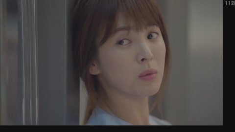 숲트리머TV 라이브 썸네일