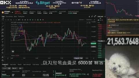 모카츄_ 라이브 썸네일