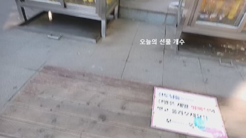 냔 라이브 썸네일