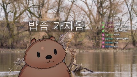 히수레 라이브 썸네일