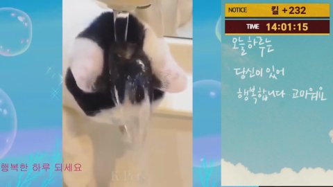 방송화면 썸네일