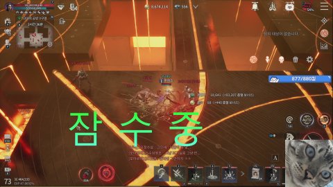 #BJ마피스 라이브 썸네일