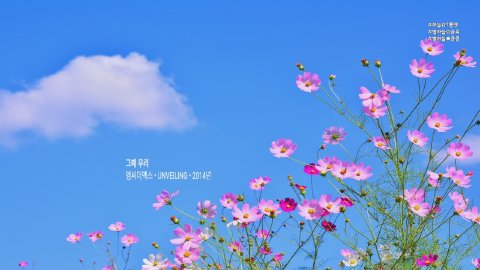 그리운별하늘 라이브 썸네일