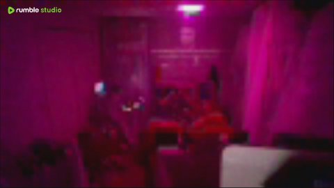 viralrabbi0 라이브 썸네일