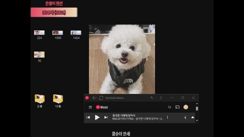 은봉도치 라이브 썸네일