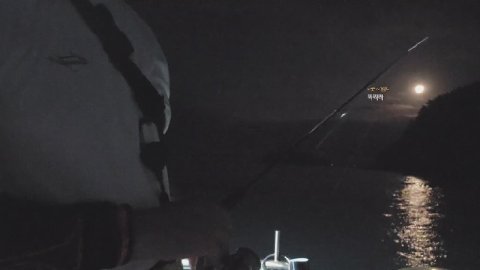 ML_장금이 라이브 썸네일