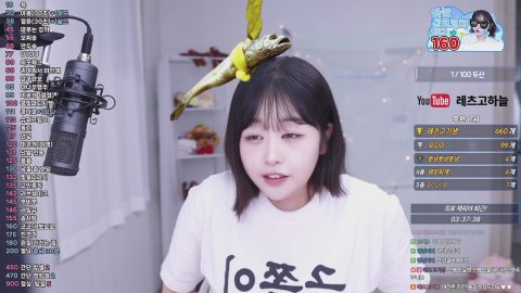 레츠고하늘 라이브 썸네일