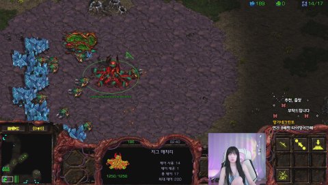 나무늘봉순 라이브 썸네일