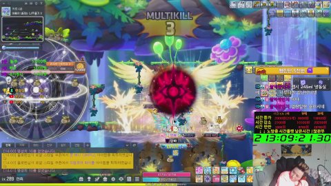 템진단(5천원) / 경뿌(차원의전장 스카 루나 엘크 등) / 노방종 룰렛 - 메이플스토리