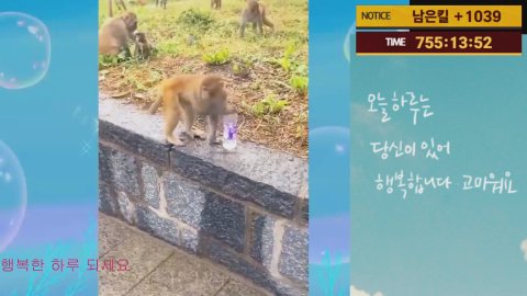 방송화면 썸네일