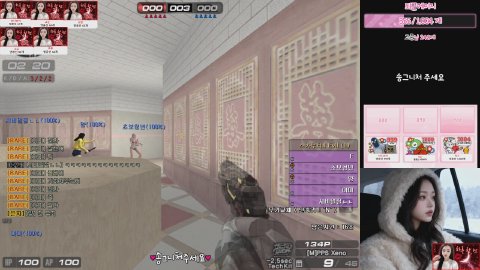 송이둥이 라이브 썸네일