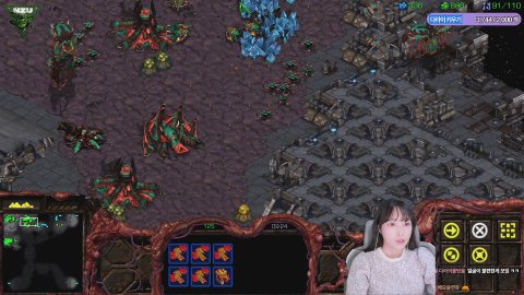 다라츄 라이브 썸네일