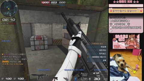 털뭉치♡ 라이브 썸네일