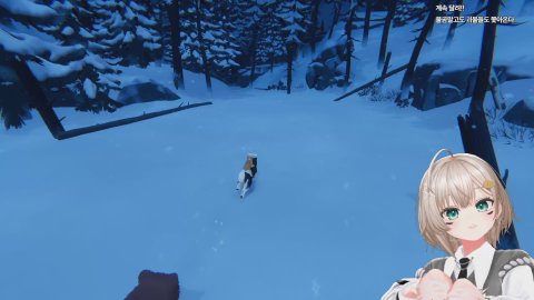 깡담비 라이브 썸네일