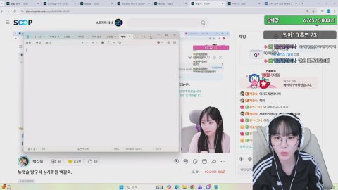 [뉴캣슬] 뉴걸 구경하기