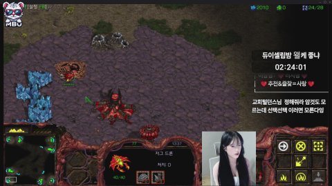 [엠비대] 스타펑고