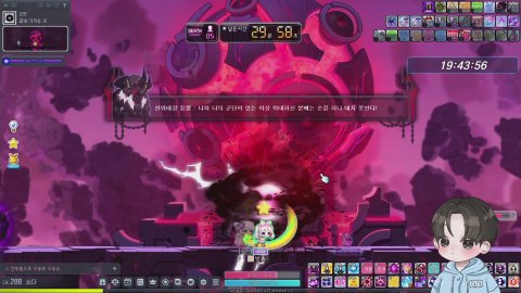 메이플 베라 295 불독 아명