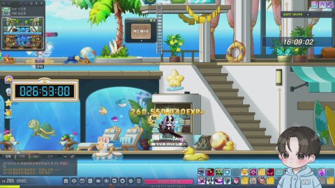 메이플 베라 295 불독 아명