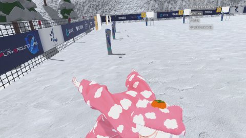 바이에슬론 30바퀴 돌아보겠습니다. [ 뉴걸 / 진드기 ]