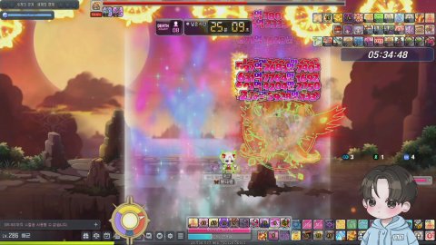 메이플 베라 296 불독 아명