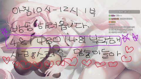 3번째 하드 벨로나 캇 / 노방종97일차